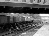 A freight accelerates away on the up ECML just south of York station in the summer of 1980. 40184 had recently restarted following a lengthy signal check at Holgate Junction on the York station avoiding line [see image 18347]<br><br>[John Furnevel 21/07/1980]
