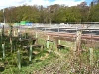 <I>'That's the style!'</I> (and the bench.) The former access and seating facilities at Tweedbank [see image 13777] still survive in the undergrowth alongside the site of the new Tweedbank station in May 2015, some 4 months prior to the official opening.<br><br>[John Furnevel 04/05/2015]