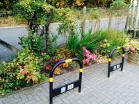 Floral display behind the Whitecraigs bike racks in the summer of 2015. <br>
<br><br>[Peter Mckinlay //2015]