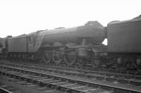 Amongst the many withdrawn steam locomotives awaiting disposal in the yard at Bathgate on 18 November 1963 is Gresley A3 Pacific no 60099 <I>Call Boy</I>. [See image 26976]<br><br>[K A Gray 18/11/1963]