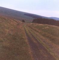 Originally built as a double track railway but only ever had a single track as seen here. The trackbed of the Border Counties Railway about one mile south west of Saughtree Station looking north east. The station itself is located around the bend behind the trees. The picture was taken from close to where Spout Sike passed below the formation. [Ref query 22 January 2018] <br><br>[Charlie Niven //1994]