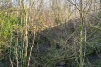 A  mile WNW of Craigendoran station on the rising ground above Camis Eskan is the 'Railway Glen'. This view looks east up the glen. The glen is so named as this was one of the sources of water for the North British Railway's new station at Craigendoran. (Some details on this page <a href=http://www.helensburgh-heritage.co.uk/index.php?option=com_content&view=article&id=1168:sawmill-field-and-railway-glen&catid=89:places&Itemid=463 target=external>Helensburgh Heritage Trust</a>).<br><br>[Ewan Crawford 02/02/2018]