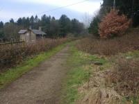 Here is the formation of the narrow gauge railway used to construct and maintain the Torside reservoir. View looking west. The Pennine way crosses at this point.<br><br>[Alan Cormack 14/01/2018]