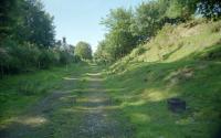 View north at Coleburn. The distillery sidings were to the left.<br><br>[Ewan Crawford //1999]