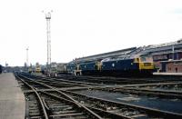 A line up of Class 47s and a few Class 40s at Crewe Works on 10 June 1971.<br><br>[John McIntyre 10/06/1971]