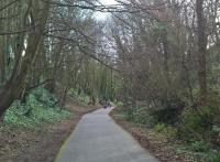 This beautiful scene is on the Rodwell Trail, a popular tarmac path from the centre of Weymouth to the Northern tip of Portland Bill. View looks South, just South of Rodwell station, in February 2018.<br><br>[Ken Strachan 17/02/2018]