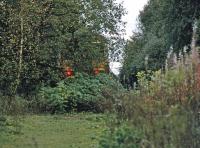 <I>It’s coming! It’s in the trees!</I> The red-eyed demonic presence hiding in the bushes is actually a DMU (156 433) which has gone “on safari” up the last remaining section of the Dunblane, Doune and Callander railway at Dunblane in October 1998. Presumably, the unit had been misbehaving and this overgrown and rarely used spur was the only place it could be shunted out of the way. [Ref query 8 March 2018]<br><br>[Mark Dufton /10/1998]