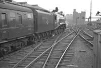 Corridor tender A4 Pacific no 60031 <I>Golden Plover</I> proceeds slowly through Newcastle Central on 1 July 1961 with the down <I>'Elizabethan'</I>.<br><br>[K A Gray 01/07/1961]