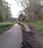 This is the site of Rodwell station - after which the trail is named - looking north in February 2018. [see image 63043 for the view South] [Ref query 12 March 2018]<br><br>[Ken Strachan 17/02/2018]