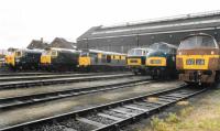 Line up at the Old Oak Common open day on 18th August 1991. Left to right Classes 50, 47, 31, 35, 42 and 52. This was basically all the preserved diesels at that time that were associated with the shed. I know this site well from working for Crossrail and it is much changed, with a great deal demolished.<br>
<br>
<br><br>[Crinan Dunbar 18/08/1991]