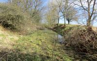 View north along the flooded trackbed of the Bervie line away from Denfinella Viaduct.<br><br>[Grant McGill 20/03/2018]