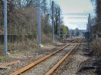 Alloa masts; looking east from Cambus level crossing towards Cambus loop, during a month-long possession.<br><br>[Bill Roberton 25/03/2018]