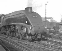 Gresley A4 Pacific no 60010 <I>'Dominion of Canada'</I> pulls out of the west end of Newcastle Central station in 1962 with an ECML service for London Kings Cross.<br><br>[K A Gray //1962]