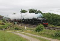 <h4><a href='/locations/B/Bay_Horse'>Bay Horse</a></h4><p><small><a href='/companies/L/Lancaster_and_Preston_Junction_Railway'>Lancaster and Preston Junction Railway</a></small></p><p>Drifting steam from the pilot, Black 5 45212, partially obscures train engine 60103 <I>Flying Scotsman</I> as they pass Bay Horse on 18th June 2018. This was the last few miles of a run from London Victoria to Carnforth with the <I>Lakes Express</I> (Day 1).  111/132</p><p>18/06/2018<br><small><a href='/contributors/Mark_Bartlett'>Mark Bartlett</a></small></p>