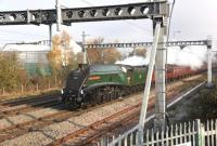 <h4><a href='/locations/S/Swindon'>Swindon</a></h4><p><small><a href='/companies/G/Great_Western_Railway'>Great Western Railway</a></small></p><p>60009 'Union of South Africa' approaching Swindon passing through the eastern outskirts in November sunshine with a 'Cathedrals Express' heading for Cardiff. The train is neatly framed by the new electrification stanchions.<br><br></p><p>22/11/2018<br><small><a href='/contributors/Peter_Todd'>Peter Todd</a></small></p>