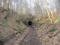 <h4><a href='/locations/N/Neidpath_Tunnel'>Neidpath Tunnel</a></h4><p><small><a href='/companies/S/Symington,_Biggar_and_Broughton_Railway'>Symington, Biggar and Broughton Railway</a></small></p><p>Looking west towards the eastern portal of Neidpath Tunnel on 23rd February 2018. 20/44</p><p>23/02/2018<br><small><a href='/contributors/David_Bosher'>David Bosher</a></small></p>