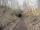 <h4><a href='/locations/N/Neidpath_Tunnel'>Neidpath Tunnel</a></h4><p><small><a href='/companies/S/Symington,_Biggar_and_Broughton_Railway'>Symington, Biggar and Broughton Railway</a></small></p><p>Looking west towards the eastern portal of Neidpath Tunnel on 23rd February 2018. 20/44</p><p>23/02/2018<br><small><a href='/contributors/David_Bosher'>David Bosher</a></small></p>