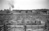 Hawick [2nd]