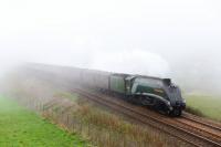 <h4><a href='/locations/N/Newtonhill'>Newtonhill</a></h4><p><small><a href='/companies/A/Aberdeen_Railway'>Aberdeen Railway</a></small></p><p>The 'Great Britain XII' has the appearance of a ghost train as it runs through an east coast Haar at Newtonhill on its way to Aberdeen hauled by A4 Pacific No.60009 'Union of South Africa'.</p><p>01/05/2019<br><small><a href='/contributors/John_Gray'>John Gray</a></small></p>