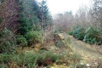 The old exit ramp at Invergarry. Think West Highland Railway island platform.<br><br>[Ewan Crawford //]