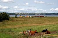 Safeway train running east, east of Clunes.<br><br>[Ewan Crawford //]