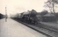 A3 4.6.2 60035 Windsor Lad entering St Boswells on down express.<br><br>[G H Robin collection by courtesy of the Mitchell Library, Glasgow 07/04/1950]