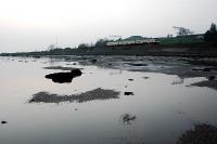 Passing the mudflats east of Cardross.<br><br>[Ewan Crawford //]