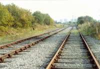 Loop at Rothesay Dock looking east. The track was re-instated for Rothesay Dock - Kincardine Powerstation traffic in the 90s. Now lifted. Access by kind permission of British Rail.<br><br>[Ewan Crawford //]