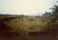 Bellahouston Carriage Sidings not long after lifting. Looking east to Shields Road depot.<br><br>[Ewan Crawford //1987]