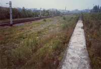 Looking east at what was Shields No 2 Junction. From left to right; the former junction between the Glasgow Central and Glasgow St Enoch routes, the wall, the former Bellahouston Carriages Sidings and the Paisley Canal Line.<br><br>[Ewan Crawford //1987]