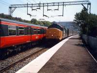 37 hauling a West Highland Line train west past a local entering Westerton.<br><br>[Ewan Crawford //1987]