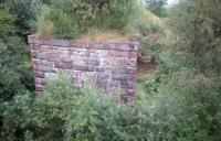 Looking towards Kelvin Valley East Junction. The Campsie Branch passed under this missing bridge.<br><br>[Ewan Crawford //1987]