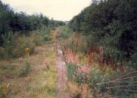 Remains of Possil westbound platform in 1987. There was a bay to the left and eastbound platform to right. By kind permission of scrap yard.<br><br>[Ewan Crawford //1987]