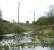 A 66 waiting by the marsh and amongst the tall telegraph poles at Redford Junction. View looks west and the former Thornton Colliery lines are to the right.<br><br>[Ewan Crawford //]
