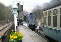<h4><a href='/locations/G/Grosmont'>Grosmont</a></h4><p><small><a href='/companies/N/North_Yorkshire_and_Cleveland_Railway'>North Yorkshire and Cleveland Railway</a></small></p><p>The north end of NYMR platform 2 at Grosmont station on 3 April 2008, with Gresley A4 Pacific no 60009 <I>Union of South Africa</I> preparing to run round its train. The line diverging westward to reach platform 1 off to the left is part of the Middlesbrough - Whitby Esk Valley route.</p><p>03/04/2008<br><small><a href='/contributors/John_Furnevel'>John Furnevel</a></small></p>