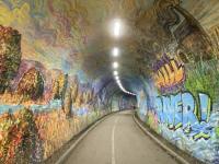 <h4><a href='/locations/C/Colinton_Tunnel'>Colinton Tunnel</a></h4><p><small><a href='/companies/B/Balerno_Branch_Caledonian_Railway'>Balerno Branch (Caledonian Railway)</a></small></p><p>Artwork covers the entire 153 yards of Colinton Tunnel's brickwork, as seen here in August 2020.   70/81</p><p>15/08/2020<br><small><a href='/contributors/John_Yellowlees'>John Yellowlees</a></small></p>
