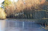 Aboyne Curlers Platform