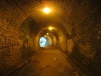 <h4><a href='/locations/C/Colinton_Tunnel'>Colinton Tunnel</a></h4><p><small><a href='/companies/B/Balerno_Branch_Caledonian_Railway'>Balerno Branch (Caledonian Railway)</a></small></p><p>Interior of Colinton Tunnel on the former Balerno branch in Edinburgh, now an official footpath, looking north on 11th September 2017. This line was opened on 1st August 1874 with the last passenger train running on 1st November 1943 although official closure to passengers was not until 1st June 1949.   Freight trains continued  (with some enthusiasts' specials also occasionally traversing the line) until complete closure on 4th December 1967. 6/40</p><p>11/09/2017<br><small><a href='/contributors/David_Bosher'>David Bosher</a></small></p>