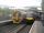 <h4><a href='/locations/T/Telford_Central'>Telford Central</a></h4><p><small><a href='/companies/S/Shrewsbury_and_Birmingham_Railway'>Shrewsbury and Birmingham Railway</a></small></p><p>158830 at the rear of a TfW service to Aberystwyth and Pwllheli, dividing at Machynlleth, and 170506 leading a West Midlands Railway service to Birmingham New Street, at Telford Central on the evening of Saturday, 25th September 2021.  This photo was taken while waiting for UK Railtours' return excursion from Shrewsbury to London King's Cross to arrive, having taken the option to alight here earlier and join one of a fleet of coaches to visit the Ironbridge Gorge and Blists Hill Museum. 16/20</p><p>25/09/2021<br><small><a href='/contributors/David_Bosher'>David Bosher</a></small></p>