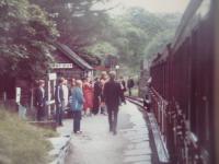 <h4><a href='/locations/D/Dolgoch'>Dolgoch</a></h4><p><small><a href='/companies/T/Talyllyn_Railway'>Talyllyn Railway</a></small></p><p>A scene on the Talyllyn Railway with a Tywyn Wharf to Nant Gwernol train arriving at Dolgoch station, in July 1980. 7/75</p><p>/07/1980<br><small><a href='/contributors/David_Bosher'>David Bosher</a></small></p>
