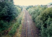 Dalmuir Riverside looking west away from the station. The overgrown tracks on the left served Beardmores Dalmuir Shipyard and the Clyde Navigation Trust depot.<br><br>[Ewan Crawford //1987]