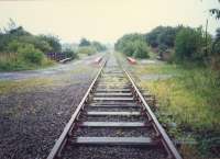 Looking east towards Dalmuir Riverside from one of the many foot pedestrian crossings. Note te line had three tracks here in the vicinity of Clyde Trust Siding.<br><br>[Ewan Crawford //1987]