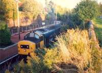 37403 on northbound train at Helensburgh. After departure a good few passengers waited onto the platform until the train was out of sight and then set out along the trackbed to their homes. Thats the WHL for you.<br><br>[Ewan Crawford //1987]