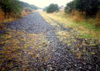 Half a mile east of Moffat Mills Junction the trackbed was reverting to nature.<br><br>[Ewan Crawford //1987]