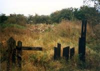 Overgrown remains of Kilbirnie (Caley) station. <br><br>[Ewan Crawford //]