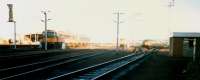 Polmadie Down Holding Sidings looking east. Access by kind permission of British Rail.<br><br>[Ewan Crawford //1987]