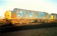 37 080 at Polmadie. Access by kind permission of British Rail.<br><br>[Ewan Crawford //1987]