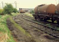 Molasses wagons at Glenochil Yeast. Viewed from closed goods station.//8390,8391,8392,8393,16317,16318<br><br>[Ewan Crawford //1988]