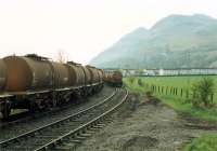 Molasses wagons at Glenochil Yeast. Viewed from closed goods station.//8390,8391,8392,8393,16317,16318<br><br>[Ewan Crawford //1988]