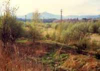 Alloa Marshalling Yard looking west. The link to Alloa West Coal Yard passed under the camera.<br><br>[Ewan Crawford //1988]